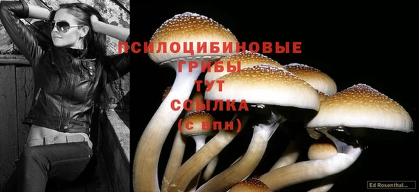 ALPHA-PVP Сатка
