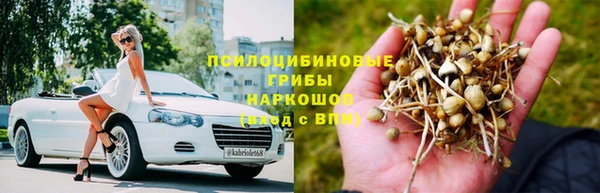 mix Аркадак